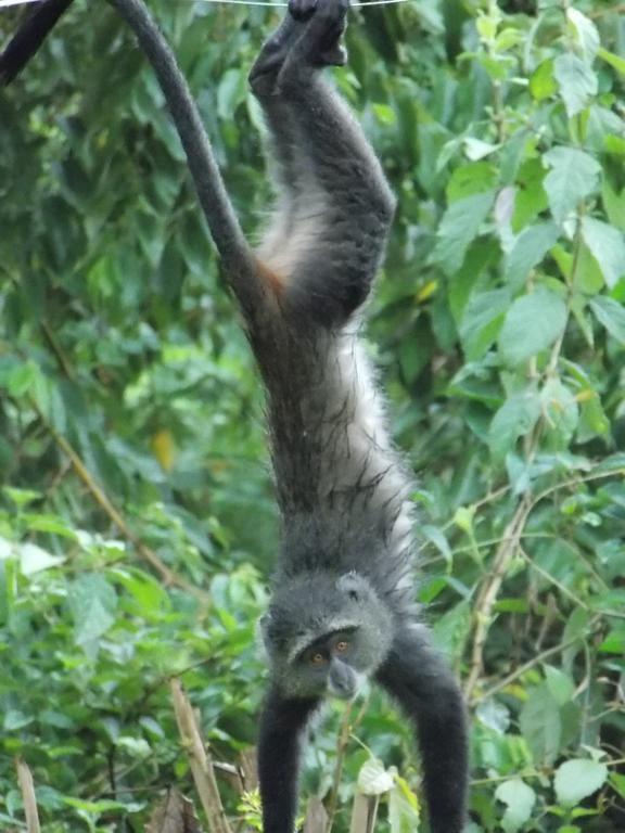 Songota Falls Lodge Arusha Zimmer foto
